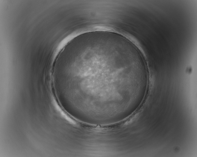 X0000116001381200911191414