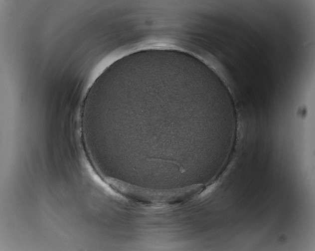 X0000116001382200911191414