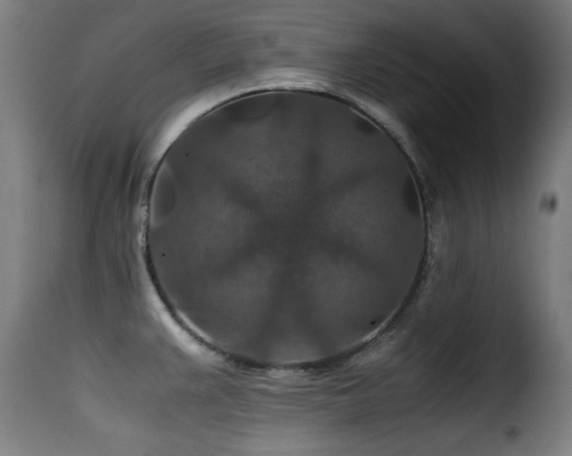 X0000116001383200911191414