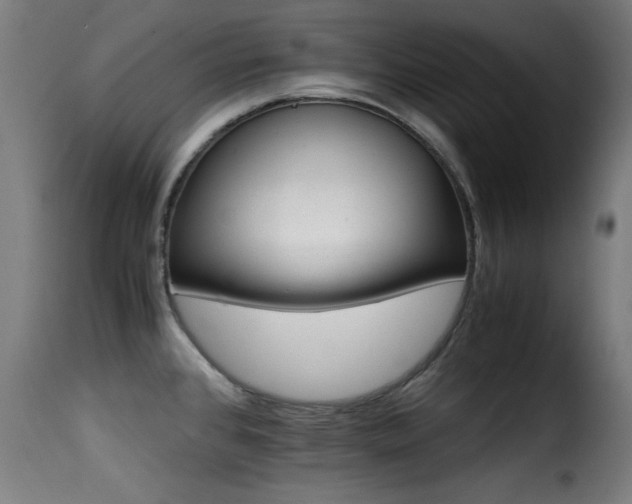 X0000116001384200911191414