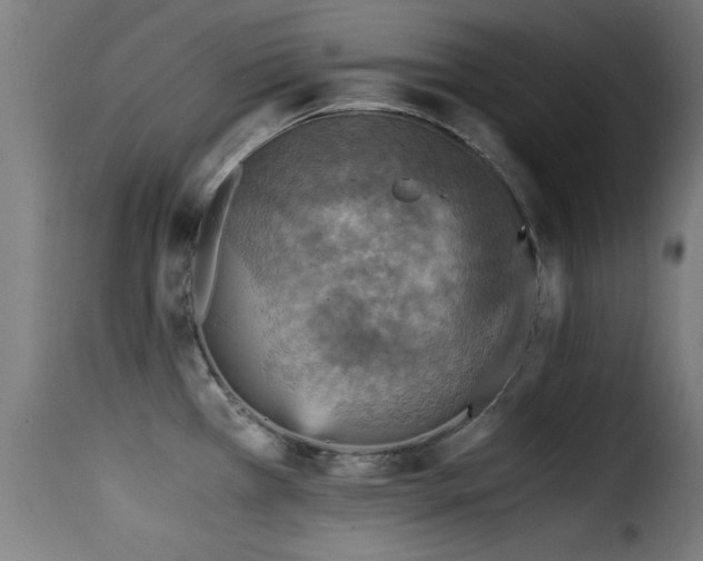 X0000116001385200911191414