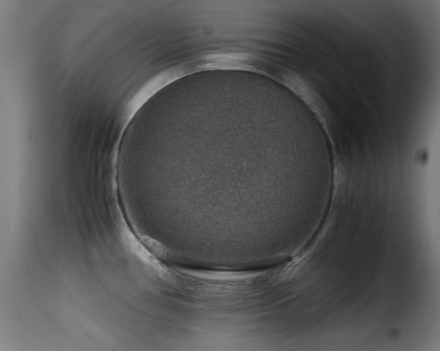 X0000116001386200911191414