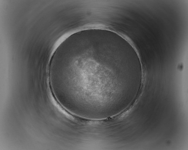 X0000116001389200911191414