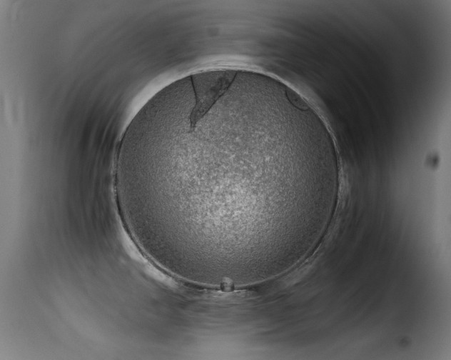 X0000116001390200911191414