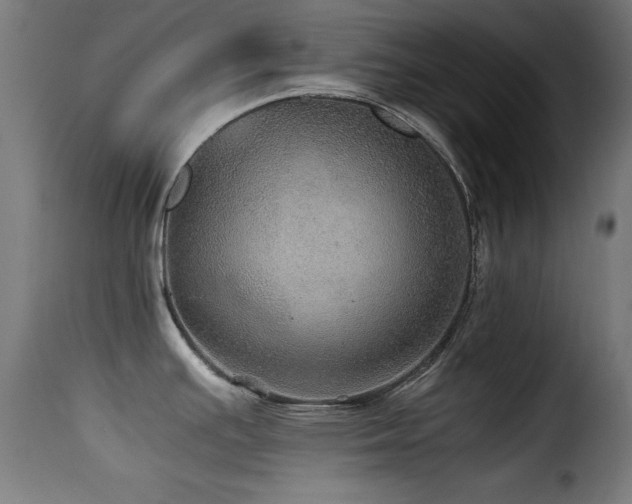 X0000116001391200911191414