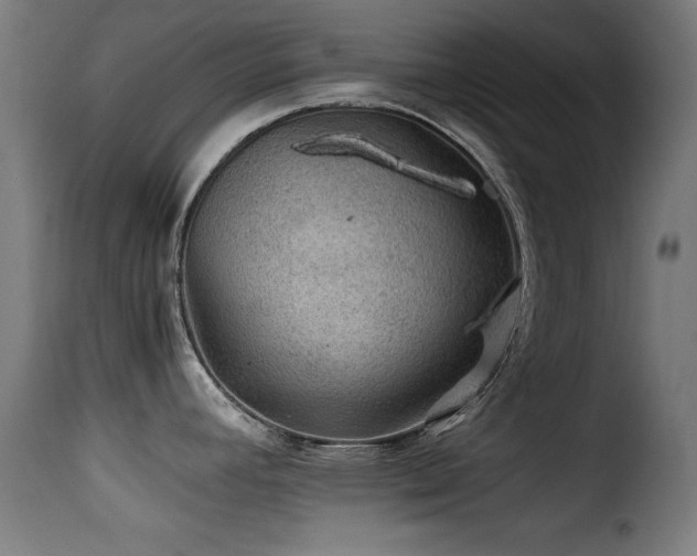 X0000116001392200911191414