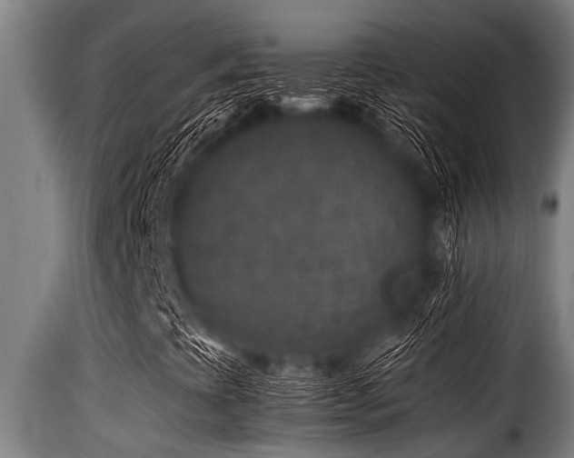 X0000116001393200911191413