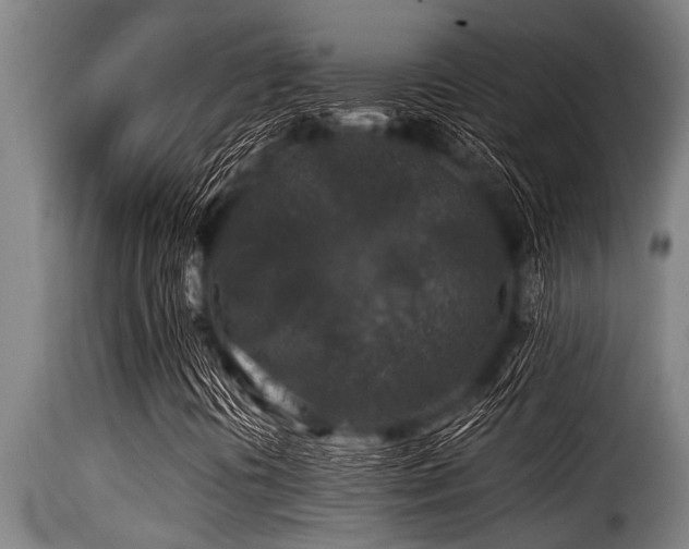 X0000116001394200911191413