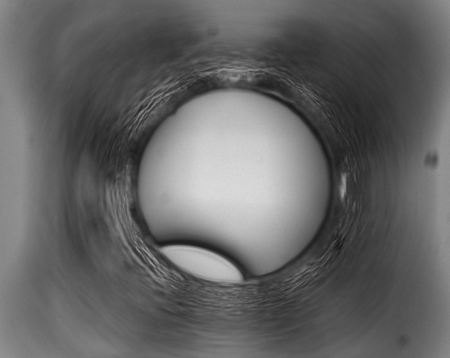 X0000116001396200911191413