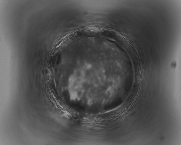 X0000116001397200911191413