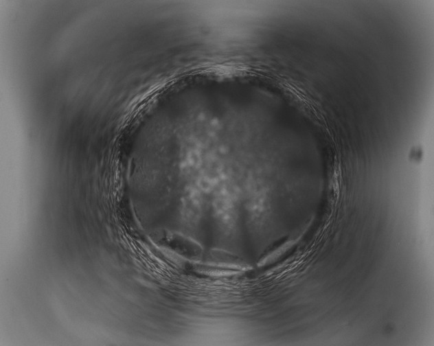 X0000116001398200911191413