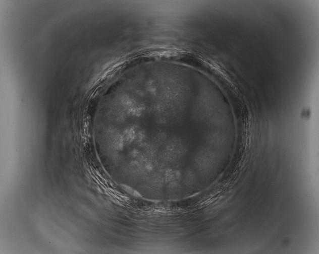 X0000116001399200911191414