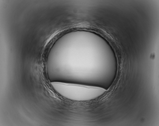 X0000116001400200911191414