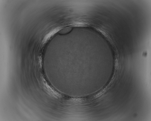 X0000116001402200911191414