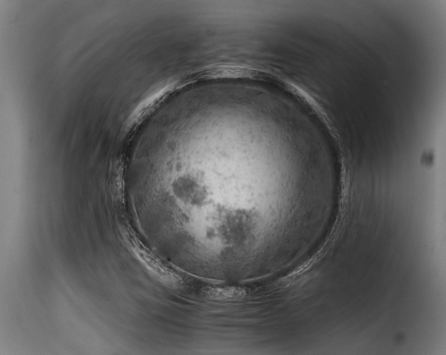 X0000116001403200911191414