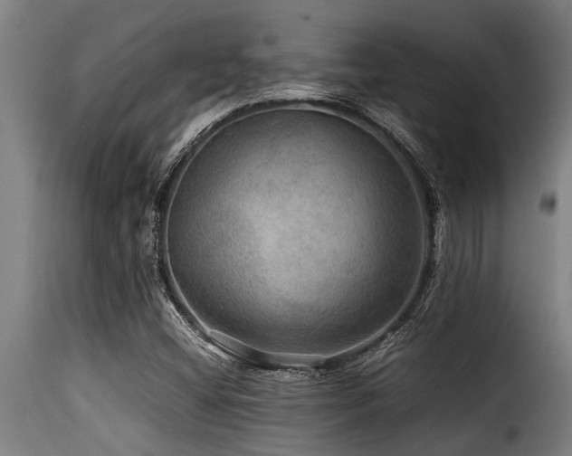 X0000116001404200911191414