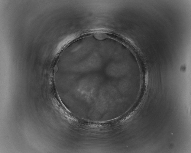 X0000116001405200911191414