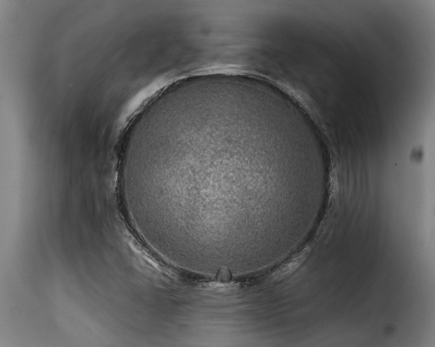 X0000116001406200911191414