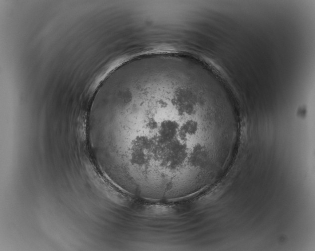 X0000116001409200911191414