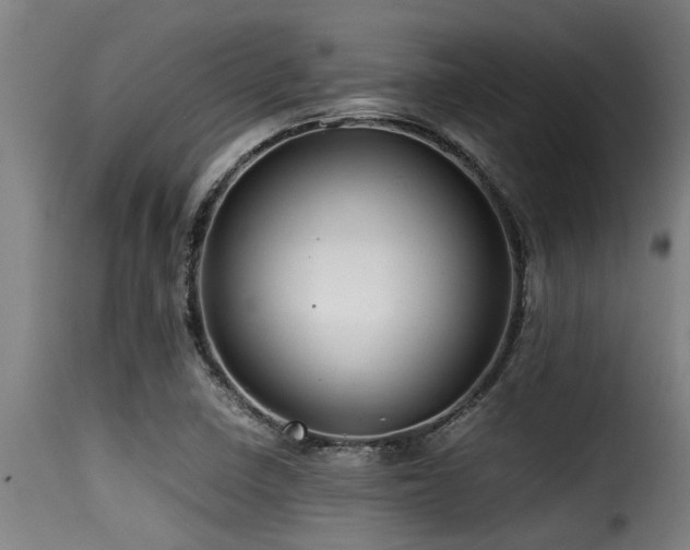 X0000116001410200911191414