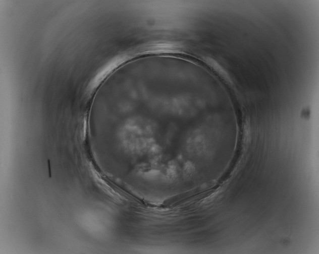 X0000116001413200911191414