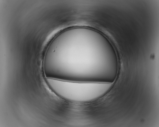 X0000116001416200911191414