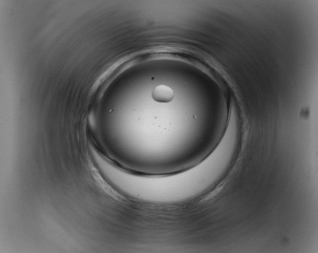 X0000116001417200911191414