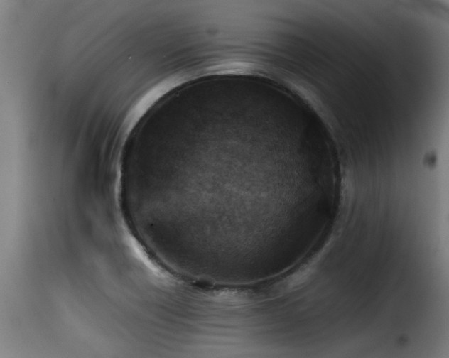 X0000116001418200911191414