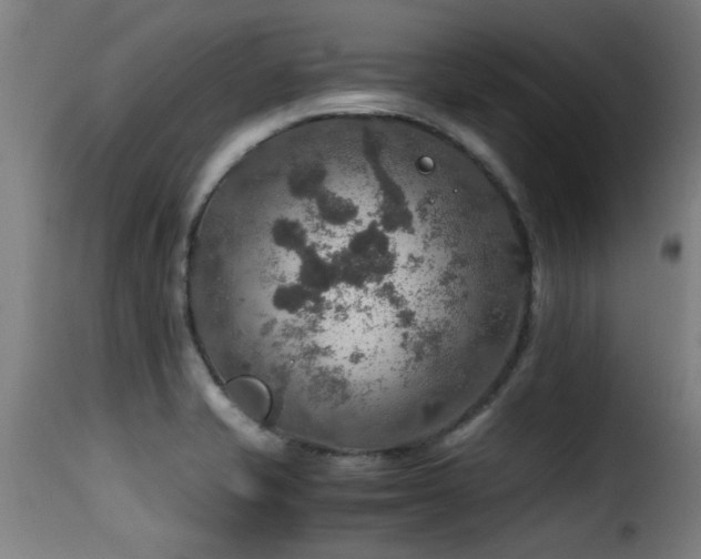 X0000116001421200911191414