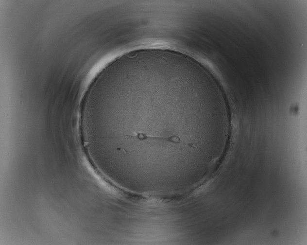 X0000116001424200911191414