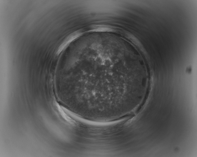 X0000116001425200911191414