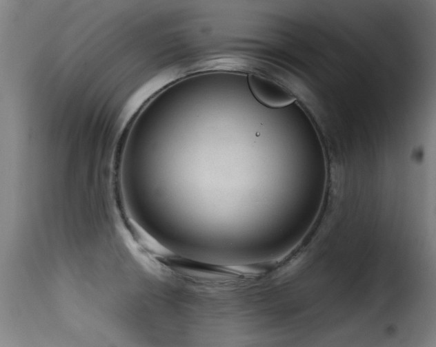 X0000116001426200911191414