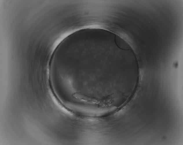 X0000116001428200911191414