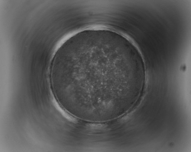 X0000116001429200911191414