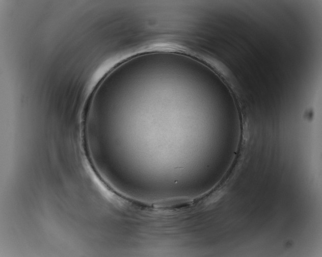 X0000116001430200911191414