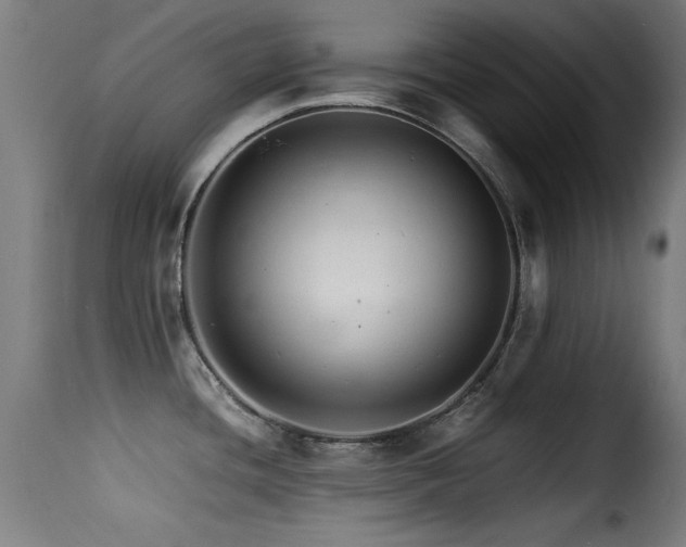 X0000116001436200911191414