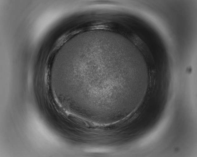 X0000116001438200911191414