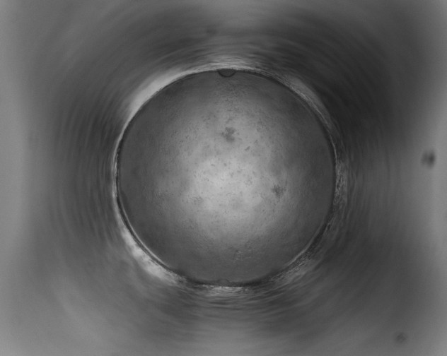 X0000116001439200911191414