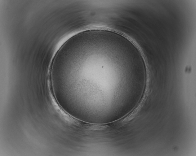 X0000116001440200911191414