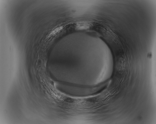 X0000116001441200911191413