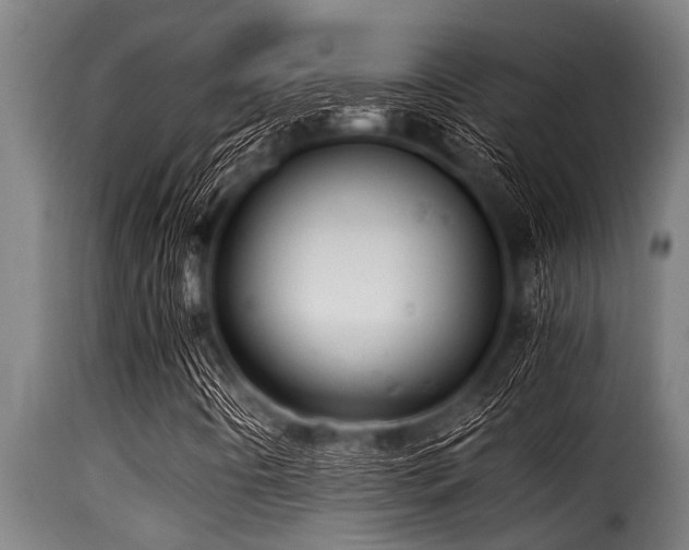 X0000116001442200911191413