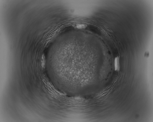 X0000116001443200911191413