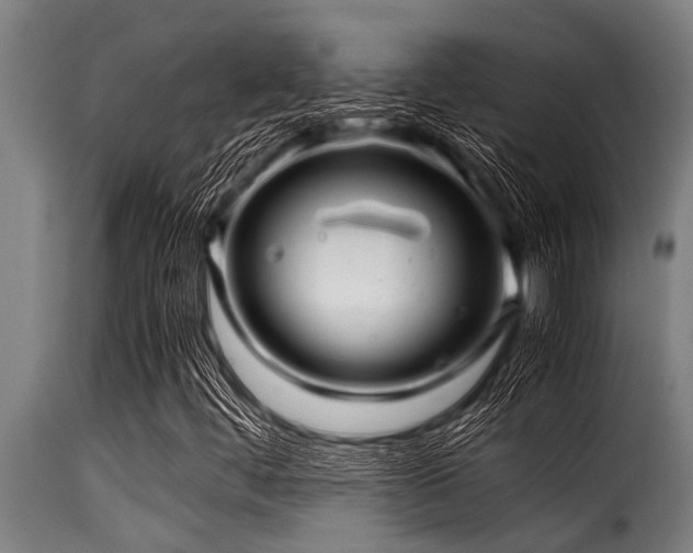 X0000116001444200911191413