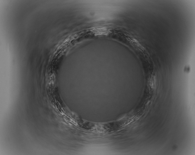 X0000116001445200911191413