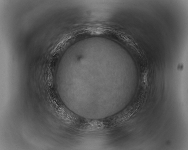 X0000116001446200911191413