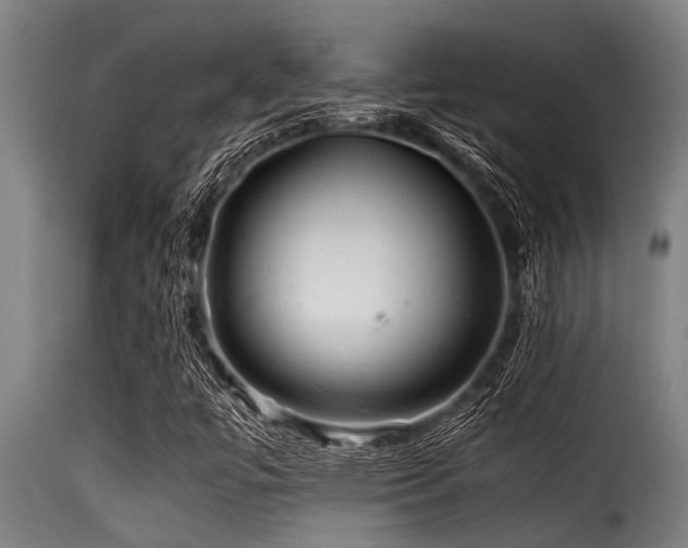 X0000116001447200911191413