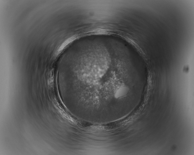 X0000116001450200911191413