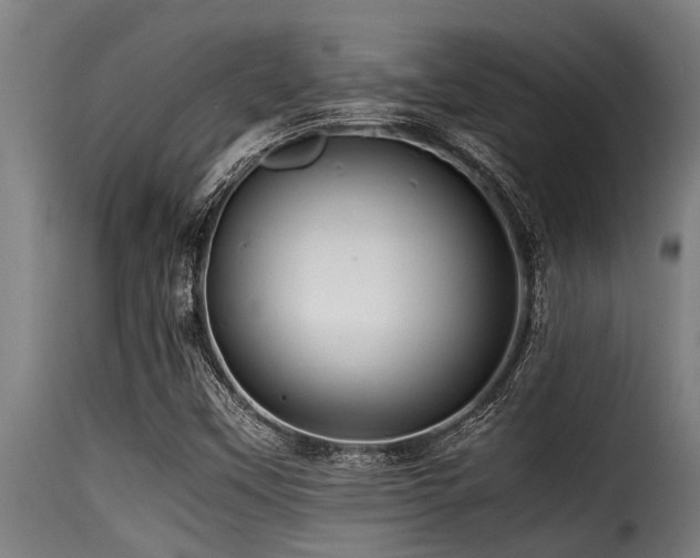 X0000116001451200911191413