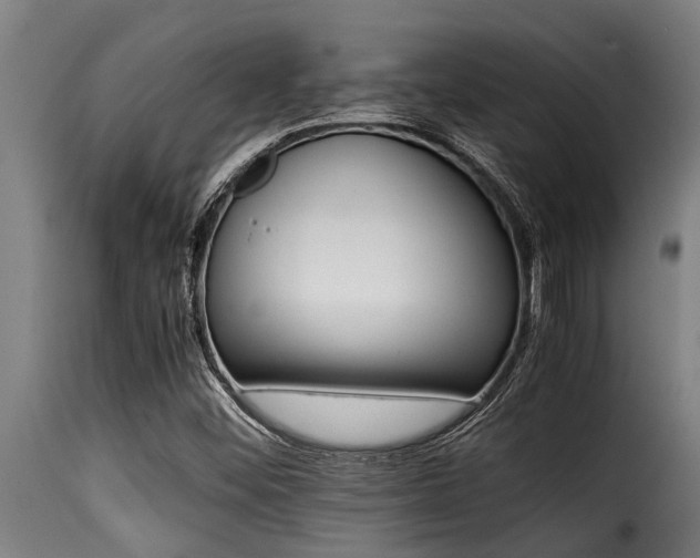 X0000116001452200911191413