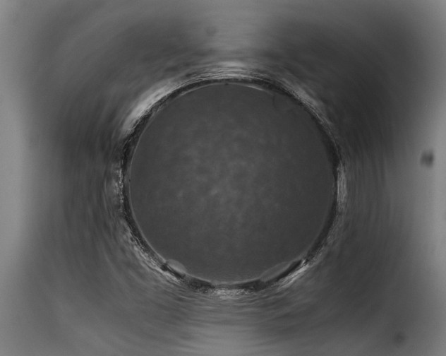 X0000116001453200911191413